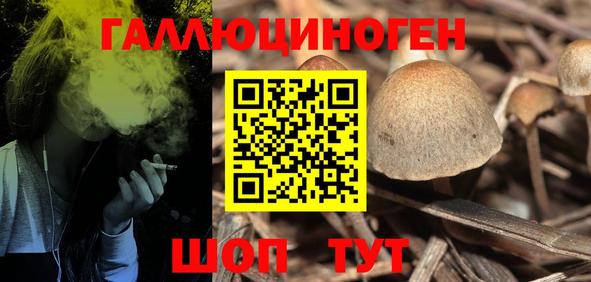 Галлюциногенные грибы GOLDEN TEACHER Егорьевск